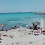 Pilella * Alliste
