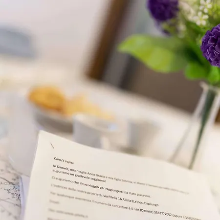 לינה וארוחת בוקר Pilella